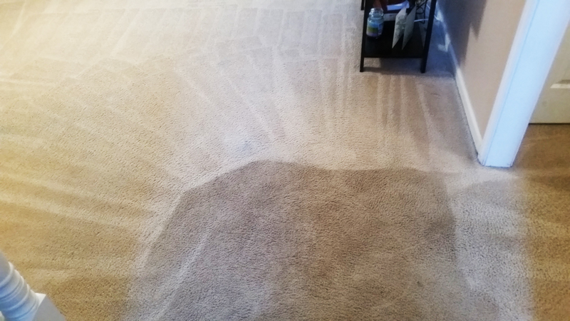 Carpet Cleaning Atlanta We specialize in deeply embedded soil removal.
